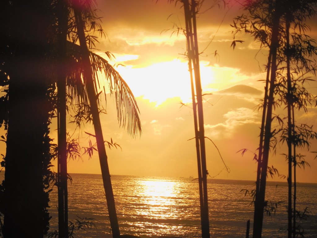 Sonnenuntergang über dem Meer zwischen Palmen
